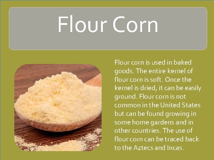 Flour Corn Flour corn is used in baked goods. The entire kernel of flour
