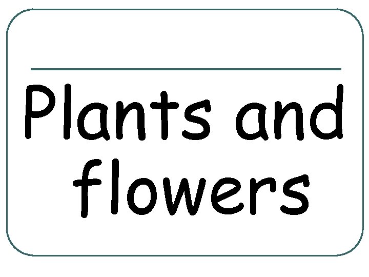 Plants and flowers 