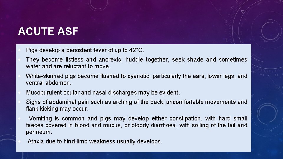 ACUTE ASF Pigs develop a persistent fever of up to 42°C. They become listless