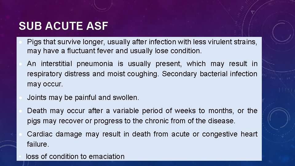 SUB ACUTE ASF Pigs that survive longer, usually after infection with less virulent strains,