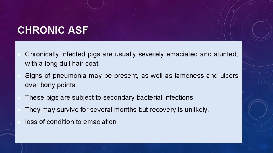 CHRONIC ASF Chronically infected pigs are usually severely emaciated and stunted, with a long