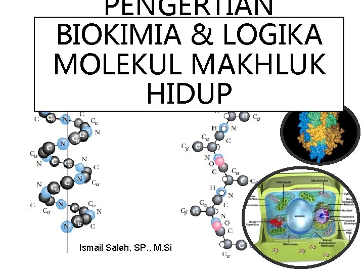 PENGERTIAN BIOKIMIA & LOGIKA MOLEKUL MAKHLUK HIDUP Ismail Saleh, SP. , M. Si 