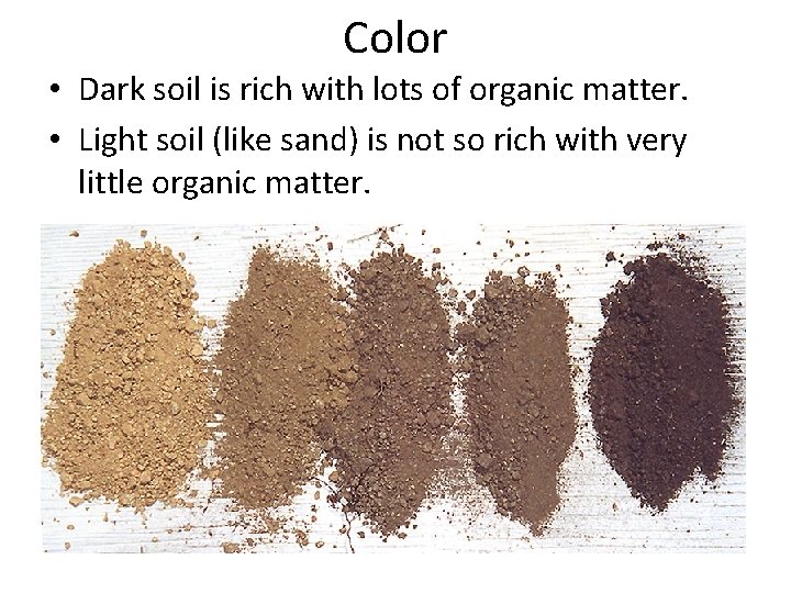 Color • Dark soil is rich with lots of organic matter. • Light soil