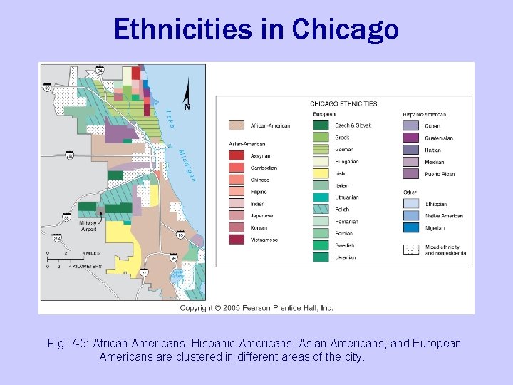 Ethnicities in Chicago Fig. 7 -5: African Americans, Hispanic Americans, Asian Americans, and European