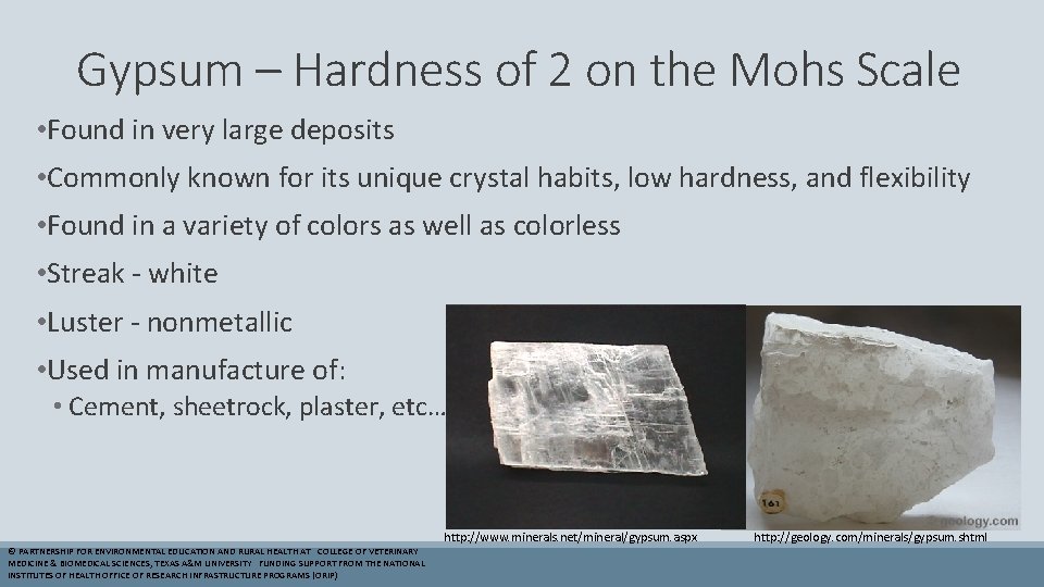 Gypsum – Hardness of 2 on the Mohs Scale • Found in very large