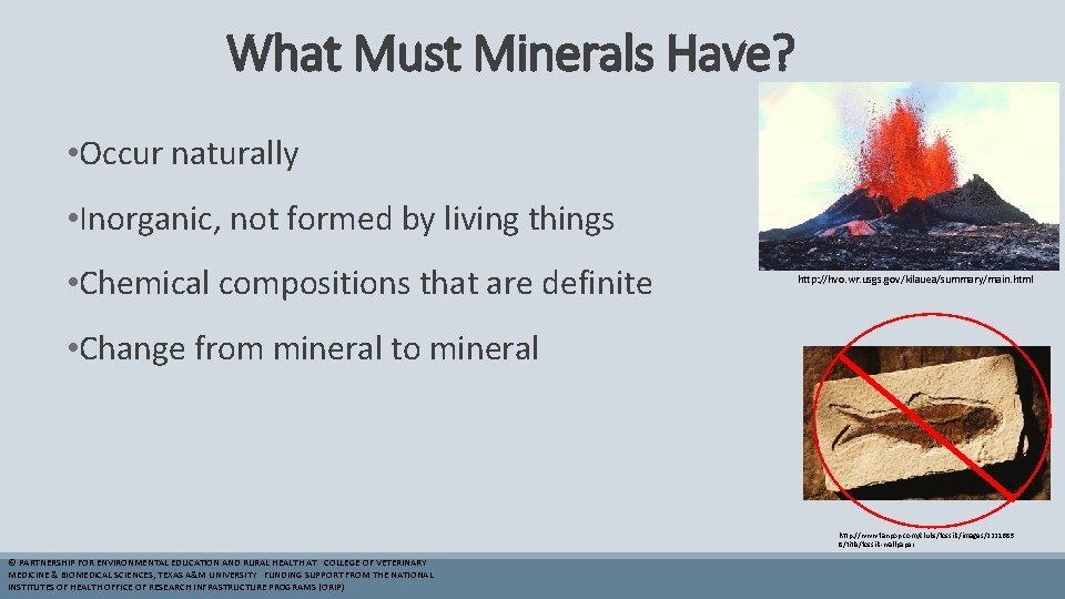 What Must Minerals Have? • Occur naturally • Inorganic, not formed by living things