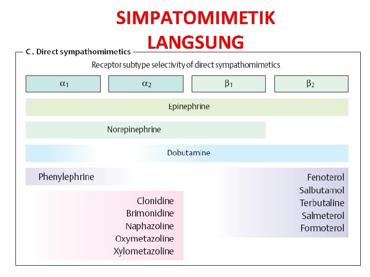 SIMPATOMIMETIK LANGSUNG 