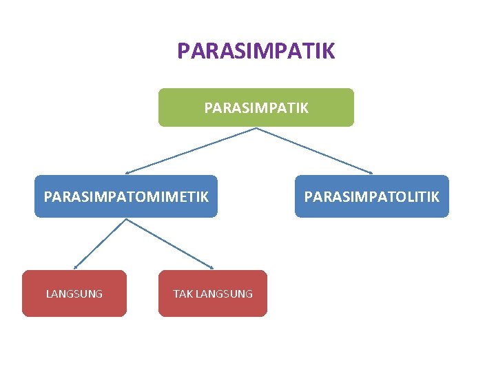 PARASIMPATIK PARASIMPATOMIMETIK LANGSUNG TAK LANGSUNG PARASIMPATOLITIK 