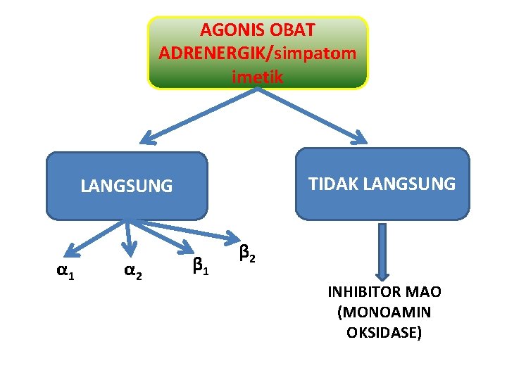 AGONIS OBAT ADRENERGIK/simpatom imetik TIDAK LANGSUNG α 1 α 2 β 1 β 2