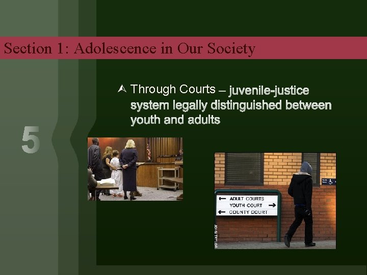 Section 1: Adolescence in Our Society Through Courts 