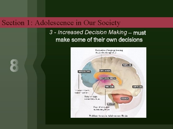 Section 1: Adolescence in Our Society 3 - Increased Decision Making 