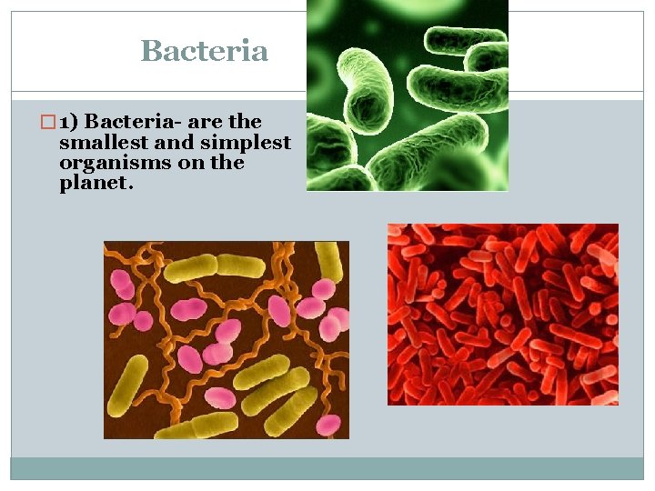 Bacteria � 1) Bacteria- are the smallest and simplest organisms on the planet. 