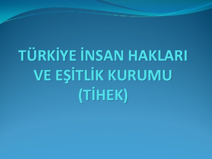 TÜRKİYE İNSAN HAKLARI VE EŞİTLİK KURUMU (TİHEK) 