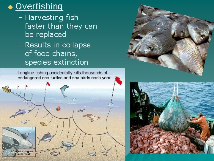 Sustainability Chapter 6 Sustainability using natural resources at