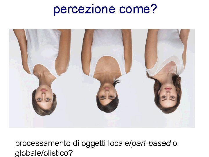 percezione come? processamento di oggetti locale/part-based o globale/olistico? 