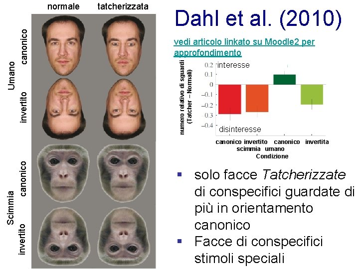 tatcherizzata Dahl et al. (2010) vedi articolo linkato su Moodle 2 per approfondimento numero