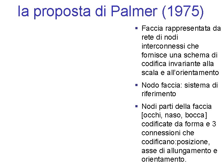 la proposta di Palmer (1975) § Faccia rappresentata da rete di nodi interconnessi che