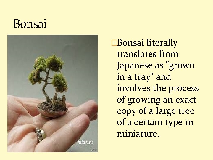 Bonsai �Bonsai literally translates from Japanese as "grown in a tray" and involves the