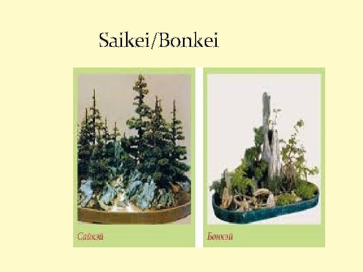 Saikei/Bonkei 
