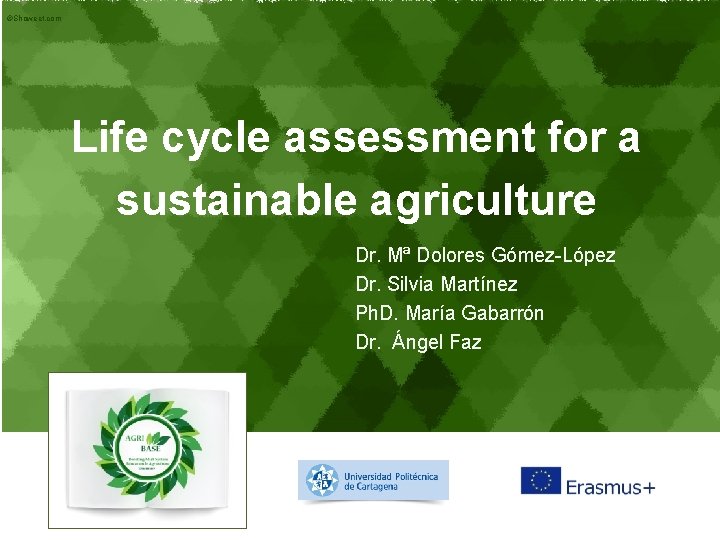 ©Showeet. com Life cycle assessment for a sustainable agriculture Dr. Mª Dolores Gómez-López Dr.