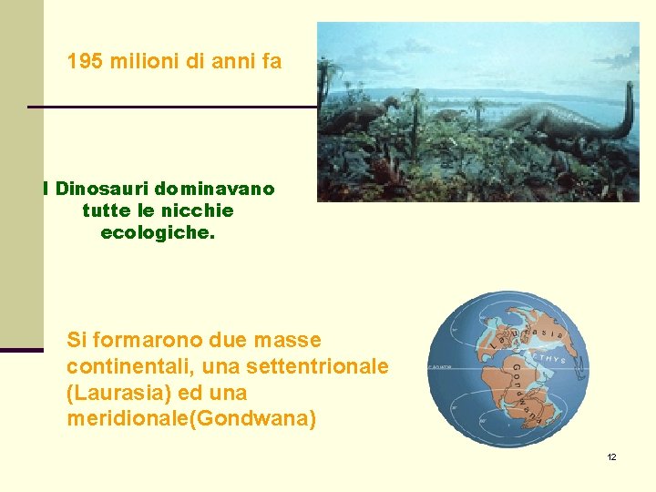 195 milioni di anni fa I Dinosauri dominavano tutte le nicchie ecologiche. Si formarono