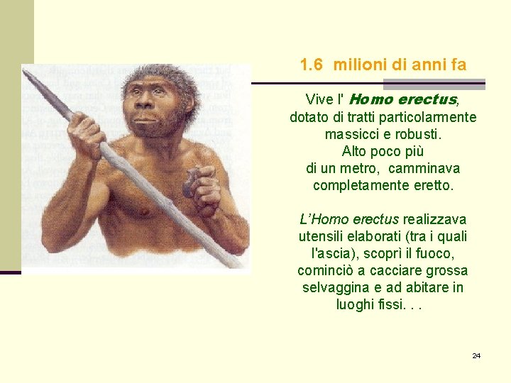 1. 6 milioni di anni fa Vive l' Homo erectus, dotato di tratti particolarmente