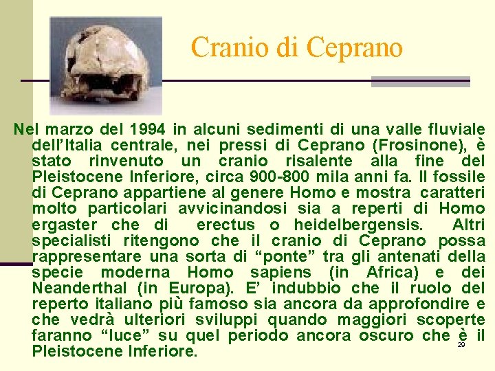 Cranio di Ceprano Nel marzo del 1994 in alcuni sedimenti di una valle fluviale