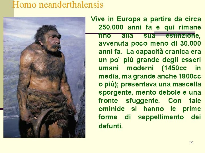 Homo neanderthalensis Vive in Europa a partire da circa 250. 000 anni fa e