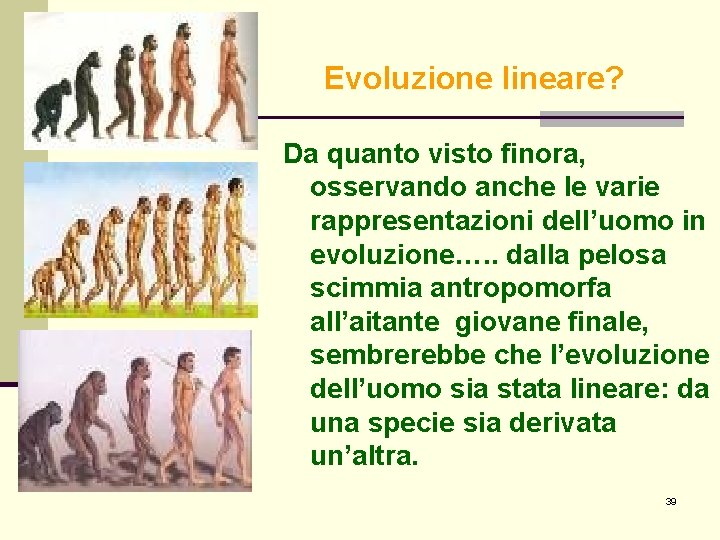 Evoluzione lineare? Da quanto visto finora, osservando anche le varie rappresentazioni dell’uomo in evoluzione….