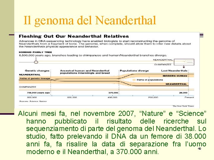 Il genoma del Neanderthal Alcuni mesi fa, nel novembre 2007, “Nature” e “Science” hanno