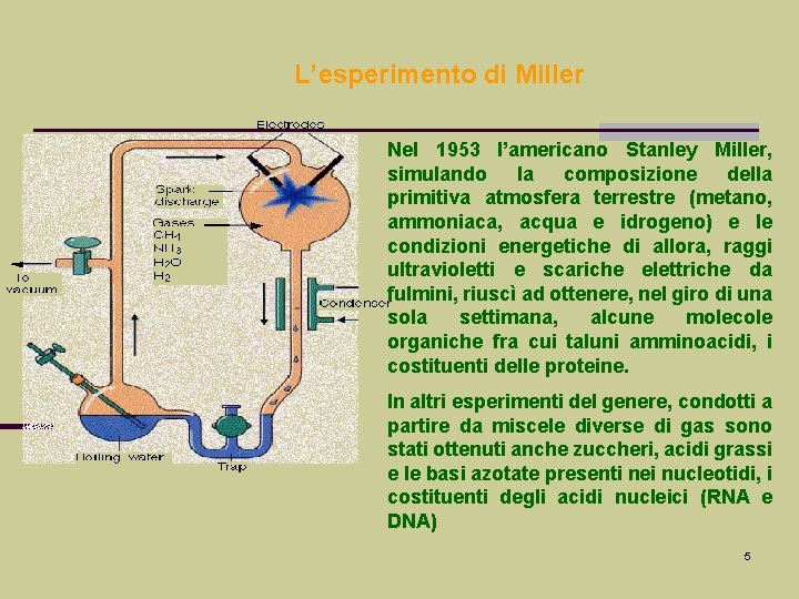 L’esperimento di Miller Nel 1953 l’americano Stanley Miller, simulando la composizione della primitiva atmosfera