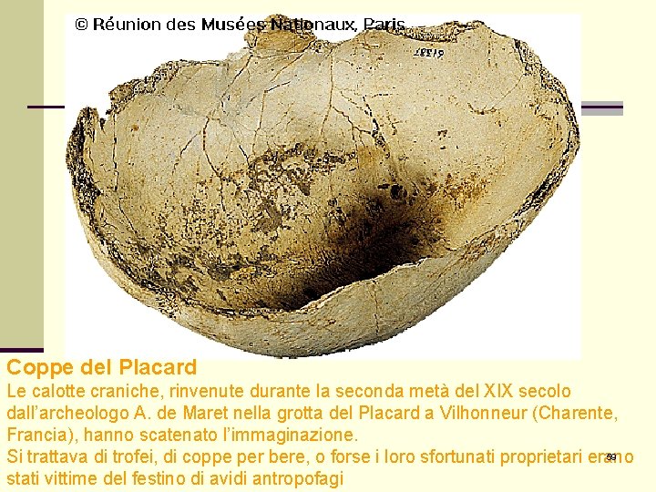 Coppe del Placard Le calotte craniche, rinvenute durante la seconda metà del XIX secolo