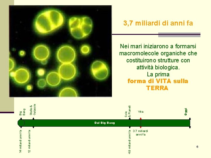 3, 7 miliardi di anni fa Vita Oggi Sole & Pianeti Stelle & Galassie