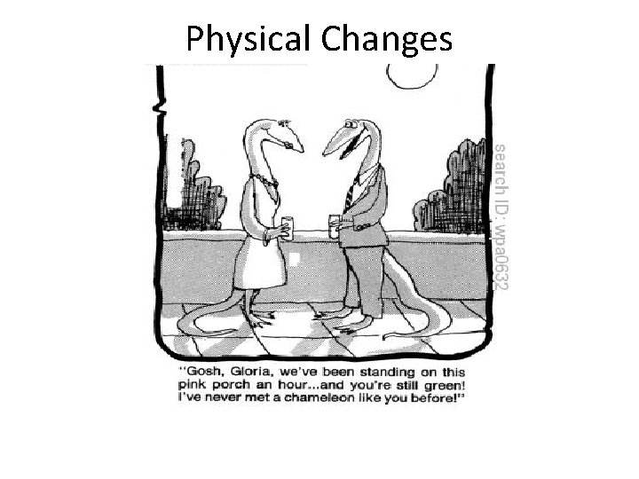 Physical Changes 