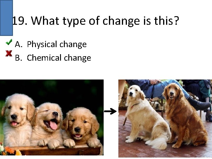 19. What type of change is this? A. Physical change B. Chemical change 