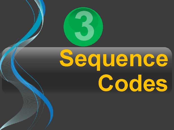 3 Sequence Codes 