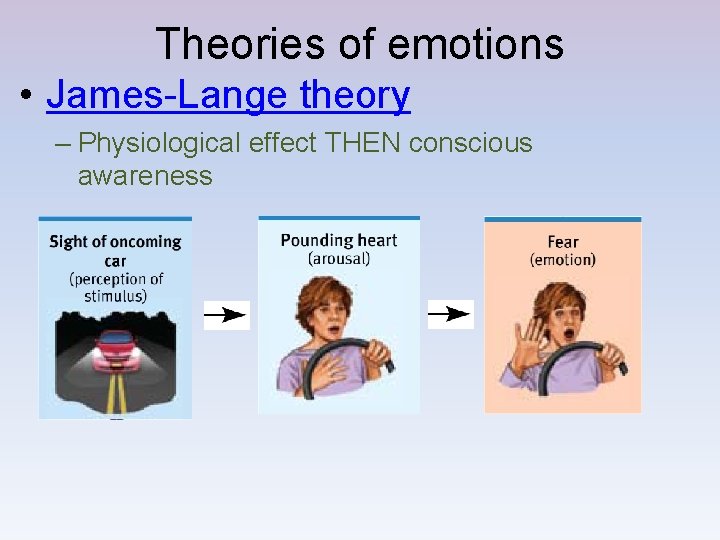 Emotions Theories Of Emotions Emotion A Response Focuses