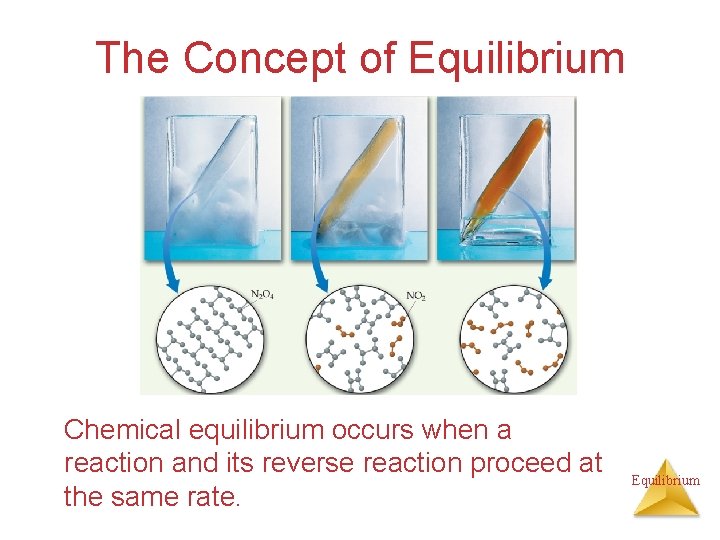 The Concept of Equilibrium Chemical equilibrium occurs when a reaction and its reverse reaction