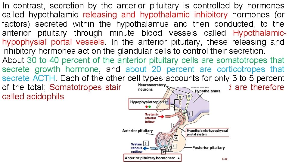 In contrast, secretion by the anterior pituitary is controlled by hormones called hypothalamic releasing In contrast, secretion by the anterior pituitary is controlled by hormones called hypothalamic releasing