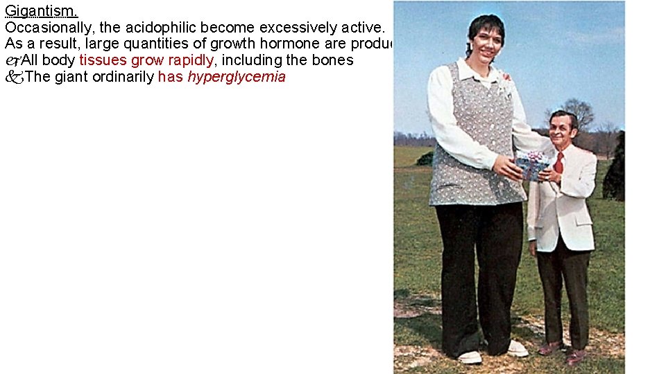 Gigantism. Occasionally, the acidophilic become excessively active. As a result, large quantities of growth Gigantism. Occasionally, the acidophilic become excessively active. As a result, large quantities of growth