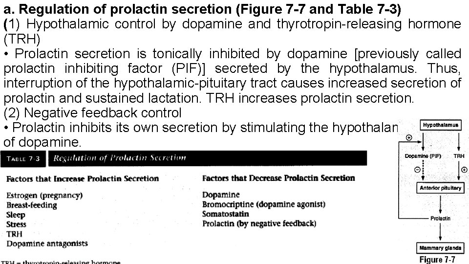 a. Regulation of prolactin secretion (Figure 7 -7 and Table 7 -3) (1) Hypothalamic a. Regulation of prolactin secretion (Figure 7 -7 and Table 7 -3) (1) Hypothalamic