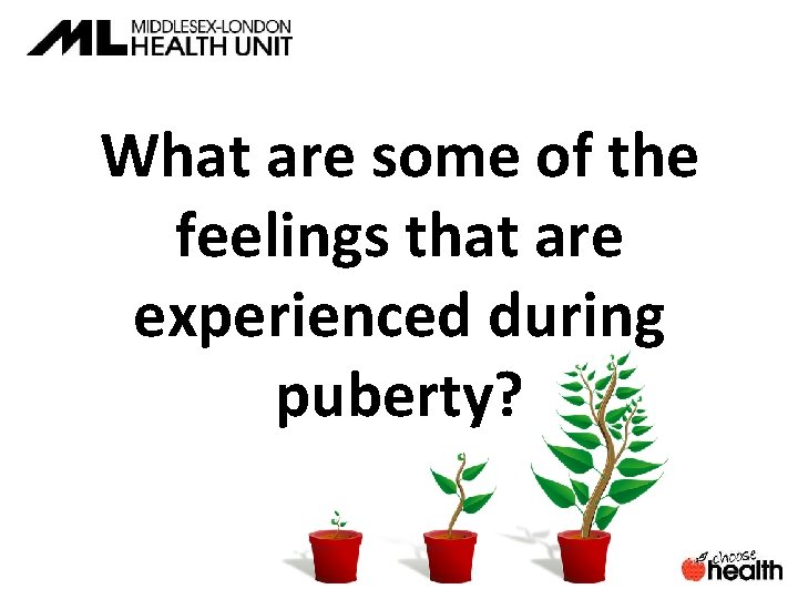 What are some of the feelings that are experienced during puberty? 