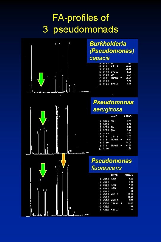 FA-profiles of 3 pseudomonads Burkholderia (Pseudomonas) cepacia Pseudomonas aeruginosa Pseudomonas fluorescens 