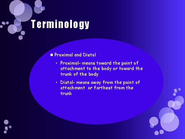 Terminology Proximal and Distal • Proximal- means toward the point of attachment to the