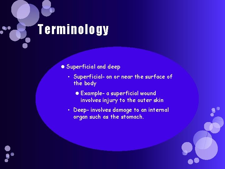 Terminology Superficial and deep • Superficial- on or near the surface of the body