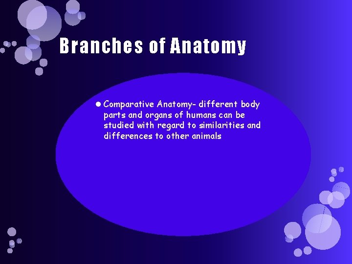 Branches of Anatomy Comparative Anatomy- different body parts and organs of humans can be