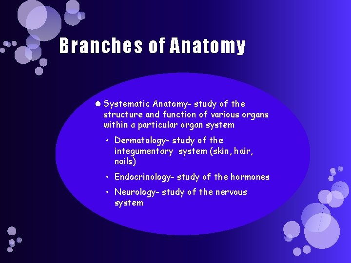 Branches of Anatomy Systematic Anatomy- study of the structure and function of various organs