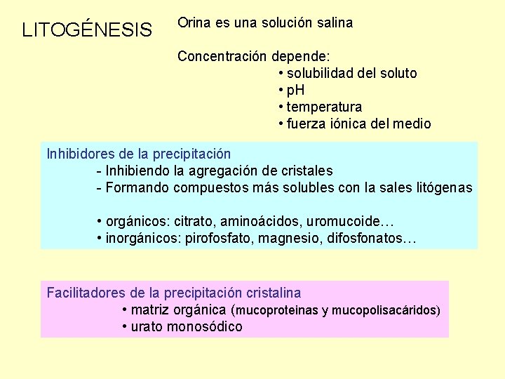 LITOGÉNESIS Orina es una solución salina Concentración depende: • solubilidad del soluto • p.