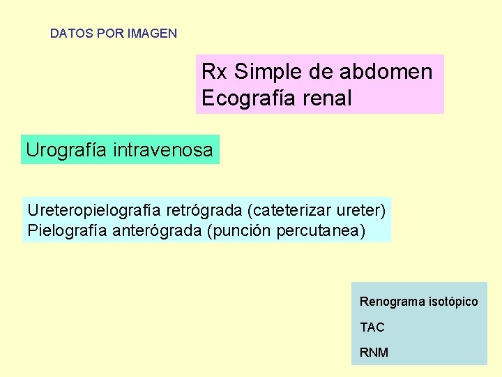DATOS POR IMAGEN Rx Simple de abdomen Ecografía renal Urografía intravenosa Ureteropielografía retrógrada (cateterizar