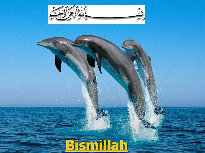 Bismillah 